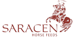 SARACEN horse feeds