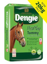 Dengie Healthy Tummy, 20kg