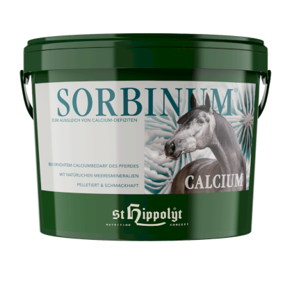 St Hippolyt Calcium Sorbinum wapno 10kg