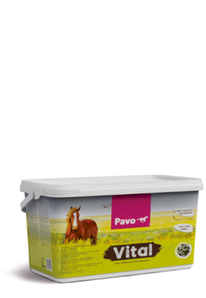 Pavo Vital mieszanka witaminowo-mineralna, wiaderko 8kg