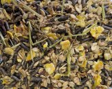 Hoveler Musli Basic podstawowe musli dla koni